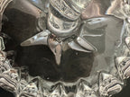 Close-up showing tiny flea-bite-sized nicks along the inner rim of the lid. 