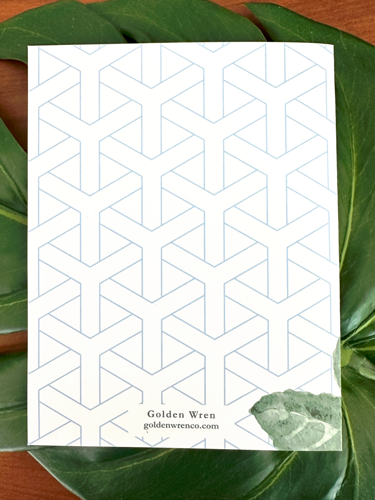 Camellia Note Card | Modern Beauty