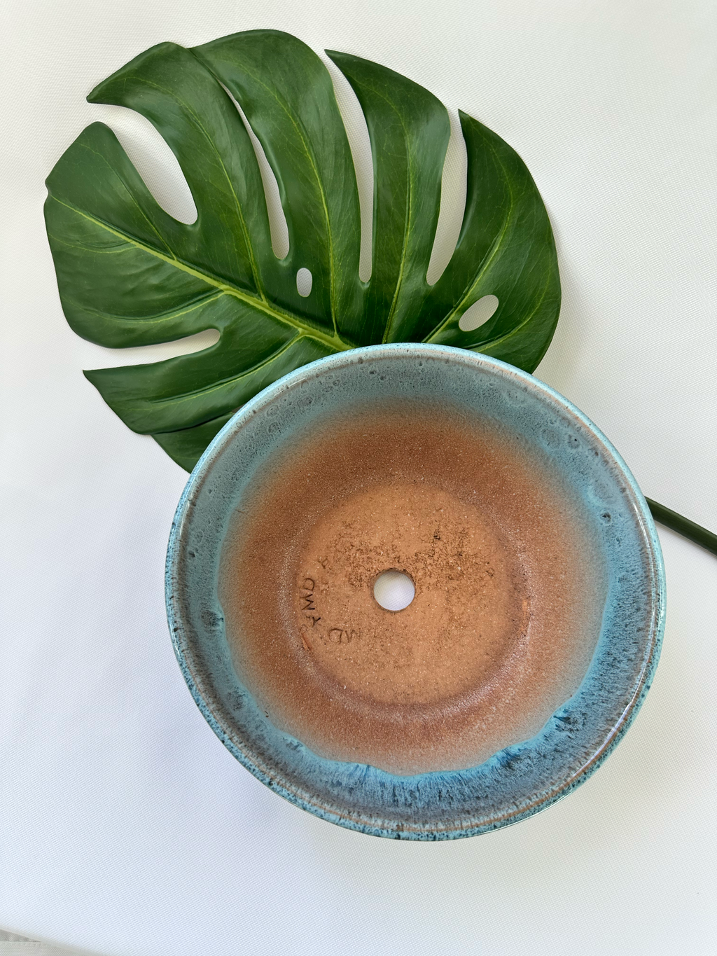 A top-down view of a round ceramic planter with a blue-green glazed rim and a warm terracotta interior, styled with a large green monstera leaf on a white background.